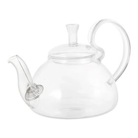 20 oz Glass Teapot, Removable Metal Spout , Hanging Spring